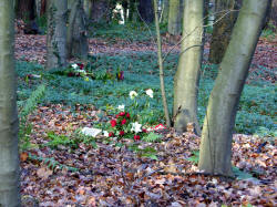 Friedwald Grabstelle