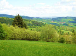 Natur im Böhmerwald