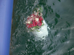 Urne sinkt bei Seebestattung