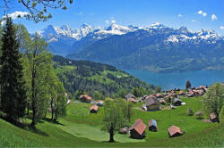 Bergwiese in der Schweiz